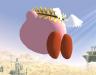 kirby_071220r-l.jpg